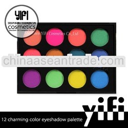 Own brand! TZ 12 magnetic makeup palette makeup kit
