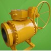 Trunnion mounted Ball Valve