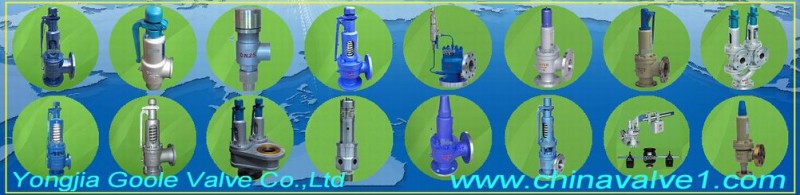 safety valve 1002-245