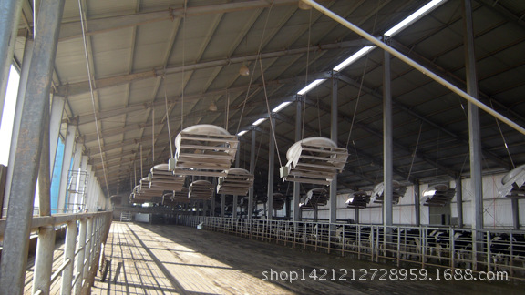 1927947116_267103918