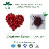 cranberry extract