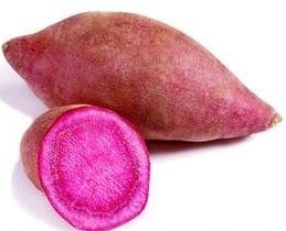 u=787217724,3391355656&fm=21&gp=0