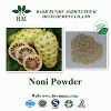 Noni fruit extract powder 4:1