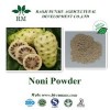 Noni fruit extract powder 10:1