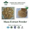 Men care Maca extract powder