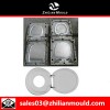 toilet seat cover mould
