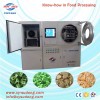 Testing vegetable freeze dryer