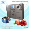 Food vacuum freeze dryer