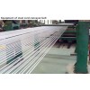 Steel cord conveyor belt