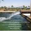 Solar water pump irrigation
