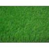 artificial turf Plastic grass