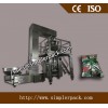 Pillow Bag Packing Machine