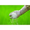 seek NATURAL ZEOLITE COMPOUND Fertilizer agency