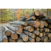 Tropical Sawn timber