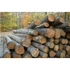 processing Tropical Sawn timber