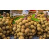 processing supply XC longan