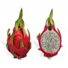 seek supply Pitahaya agency