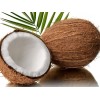 processing supply Fresh Coconut