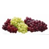 processing Egyptian table grapes