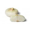 seek EGYPTIAN WHITE ONION BULB [Egypt] agency