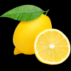 processing lemon  (Egypt)