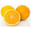 seek CETI NAVEL ORANGE  (Egypt) agency