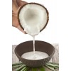 seek Coconut Milk agency