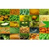 seek Agricultural products agency