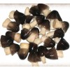 Seek Straw Mushroom agency