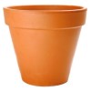 processing FLOWER POT