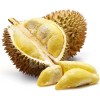 seek supply Durian agency
