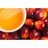 processing supply Palm Oil & Palm Oil Product