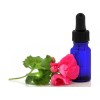 singapore processing Geranium Oil