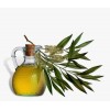 singapore processing Tea Tree Oil