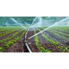 singapore processing Irrigation & Watering