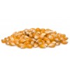 singapore processing Nuts & Kernels