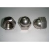 Hexagon Domed Cap Nut