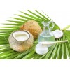 singapore processing Coconut Oil And Virgin Coconut Oil