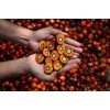 singapore processing Palm Oil