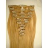 singapore processing Clip On Hair Extension