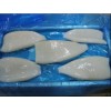 singapore processing  supply IQF Squid Tube