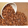 coffee bean in Arabica coffee beans