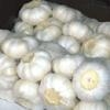 ( new crop 2013') Chinese/China Organic Fresh Garlic