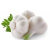 lustrous fresh normal white garlic