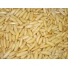 Discount pine nut and dry food of pine nut kernel