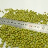 Green mung beens for sale.