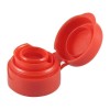 flip top cap mould