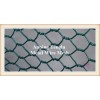 Green Coated Chicken Wire