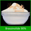 Brassinolide (BR)