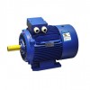 TYBPE  Explosion proof Motor